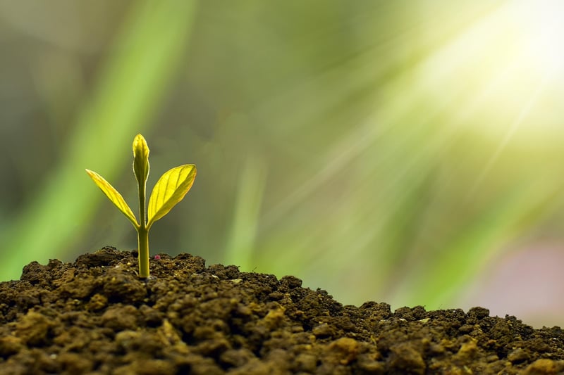 Sustainability Trends